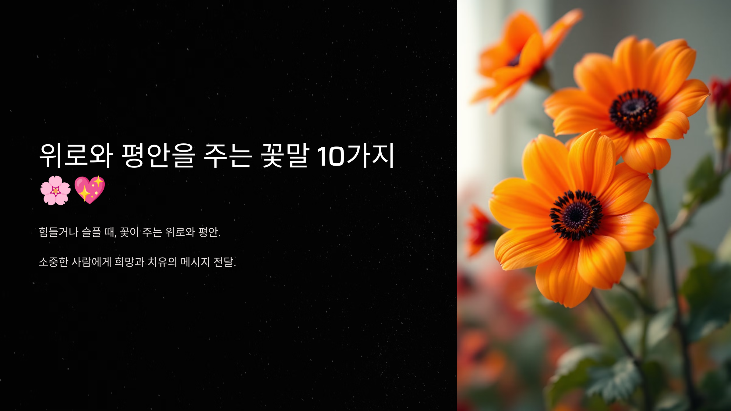 위로와 평안을 주는 꽃말 10가지