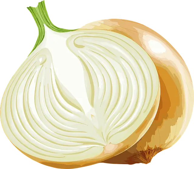 양파장아찌 담그는법