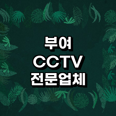 부여군 cctv