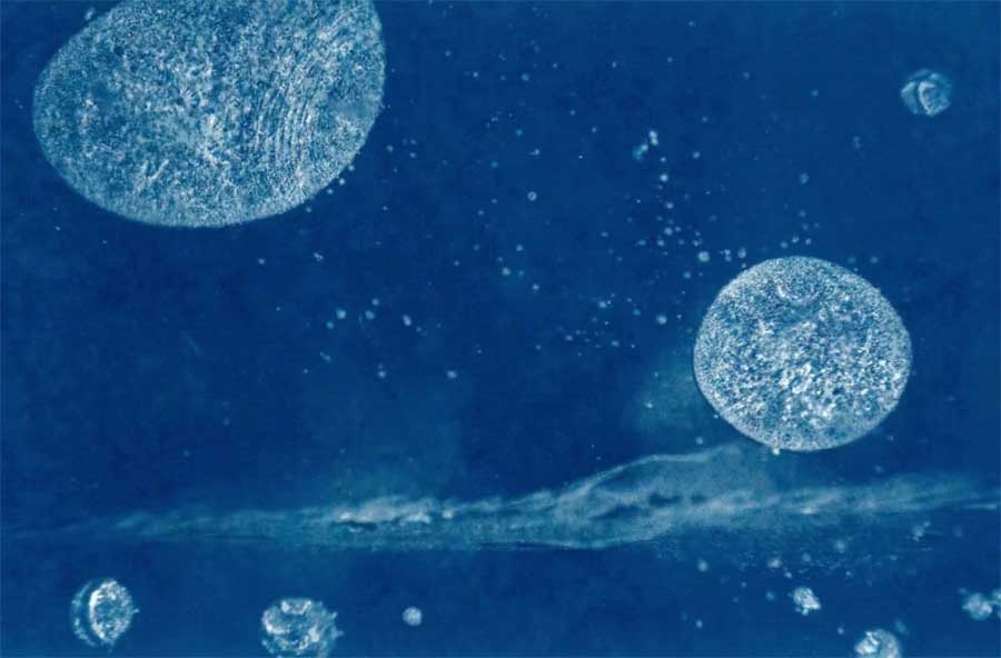 제23회 동강국제사진제 가이드 사진가전