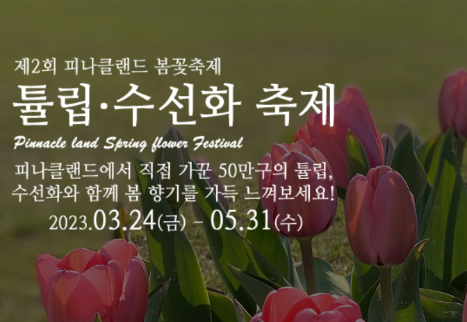 튤립수선화축제