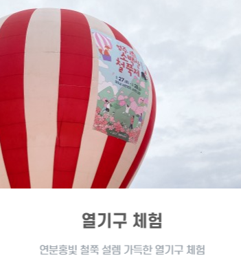 영주 소백산철쭉제