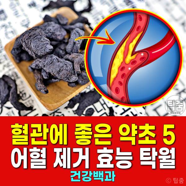 혈관에 좋은 약초 어혈 제거 효능