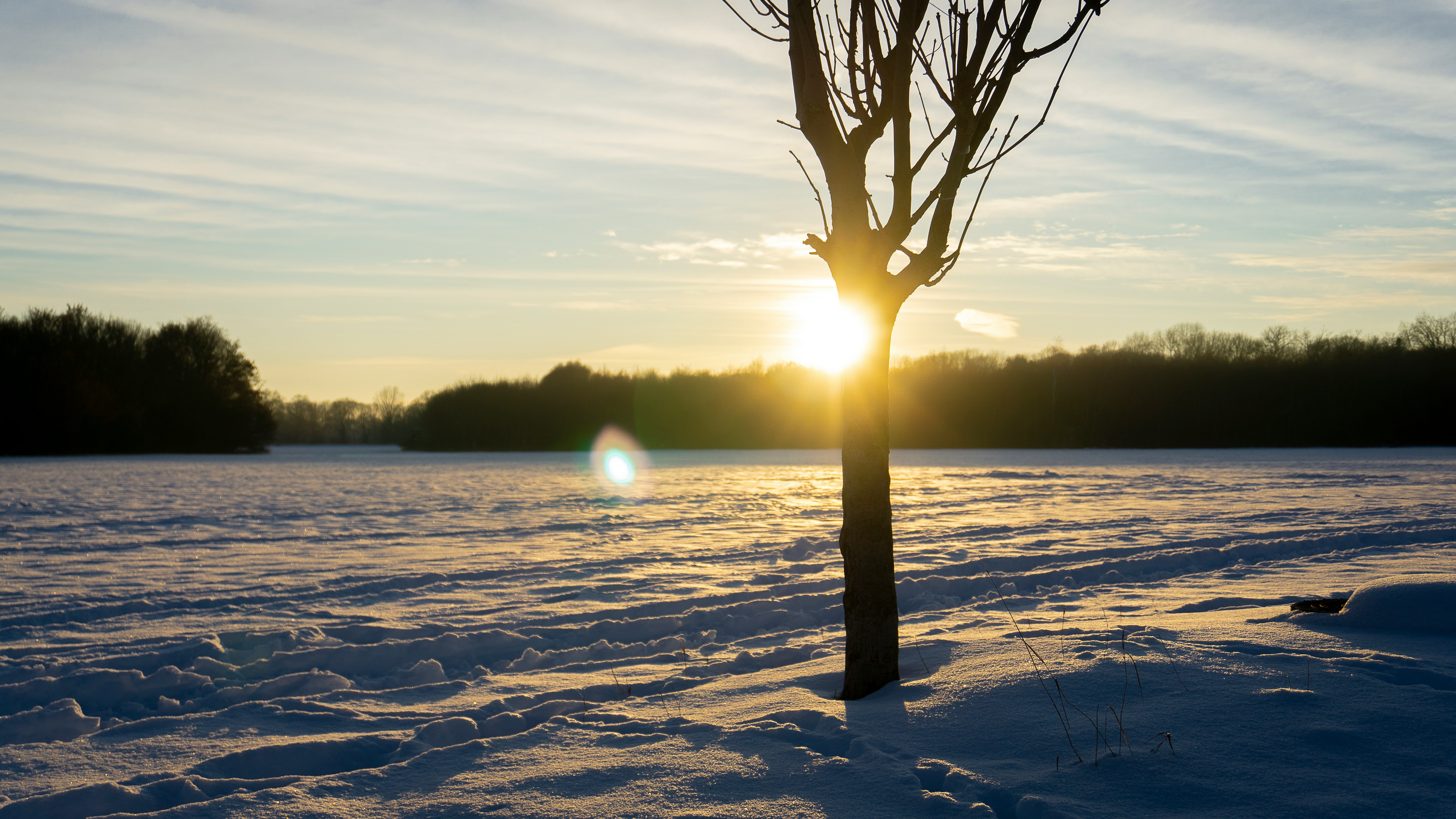 일사병과 열사병의 차이점 (+ 증상 치료 두통 약 추천)