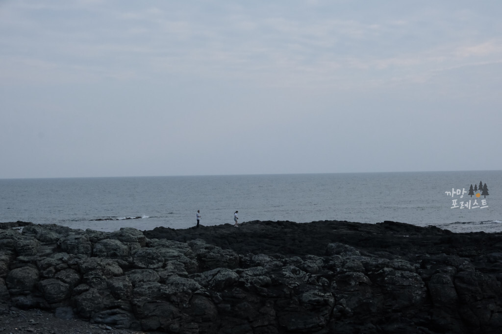 서귀포 대평포구 바다 나들이