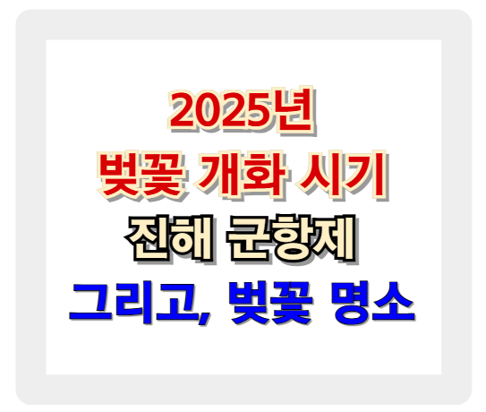 2025 벚꽃 개화 시기, 진해 군항제 완벽 정리! 놓치면 후회하는 벚꽃 명소