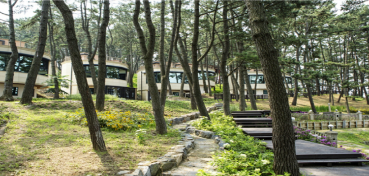 죽도 상화원