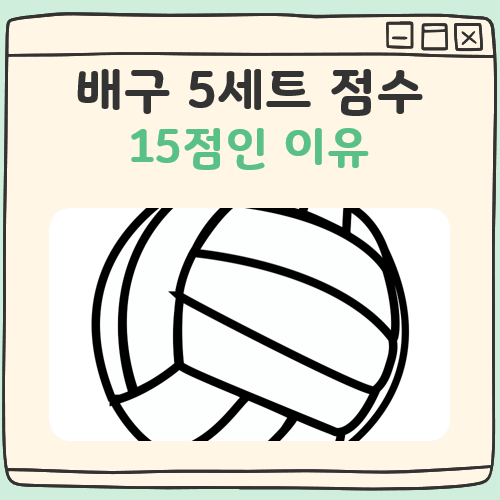 배구 5세트 점수 15점 대표 이미지