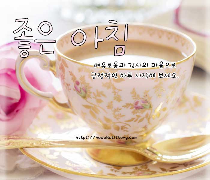 좋은아침입니다