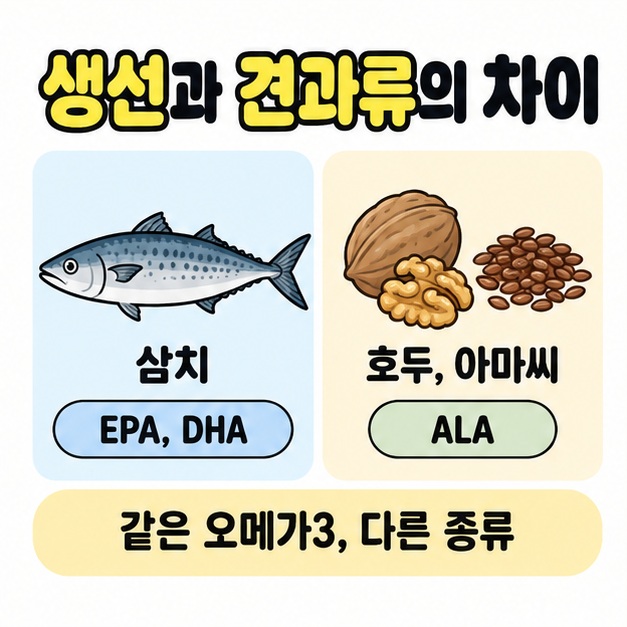 삼치의 EPA와 DHA를 호두와 아마씨의 ALA와 나란히 비교한 그림