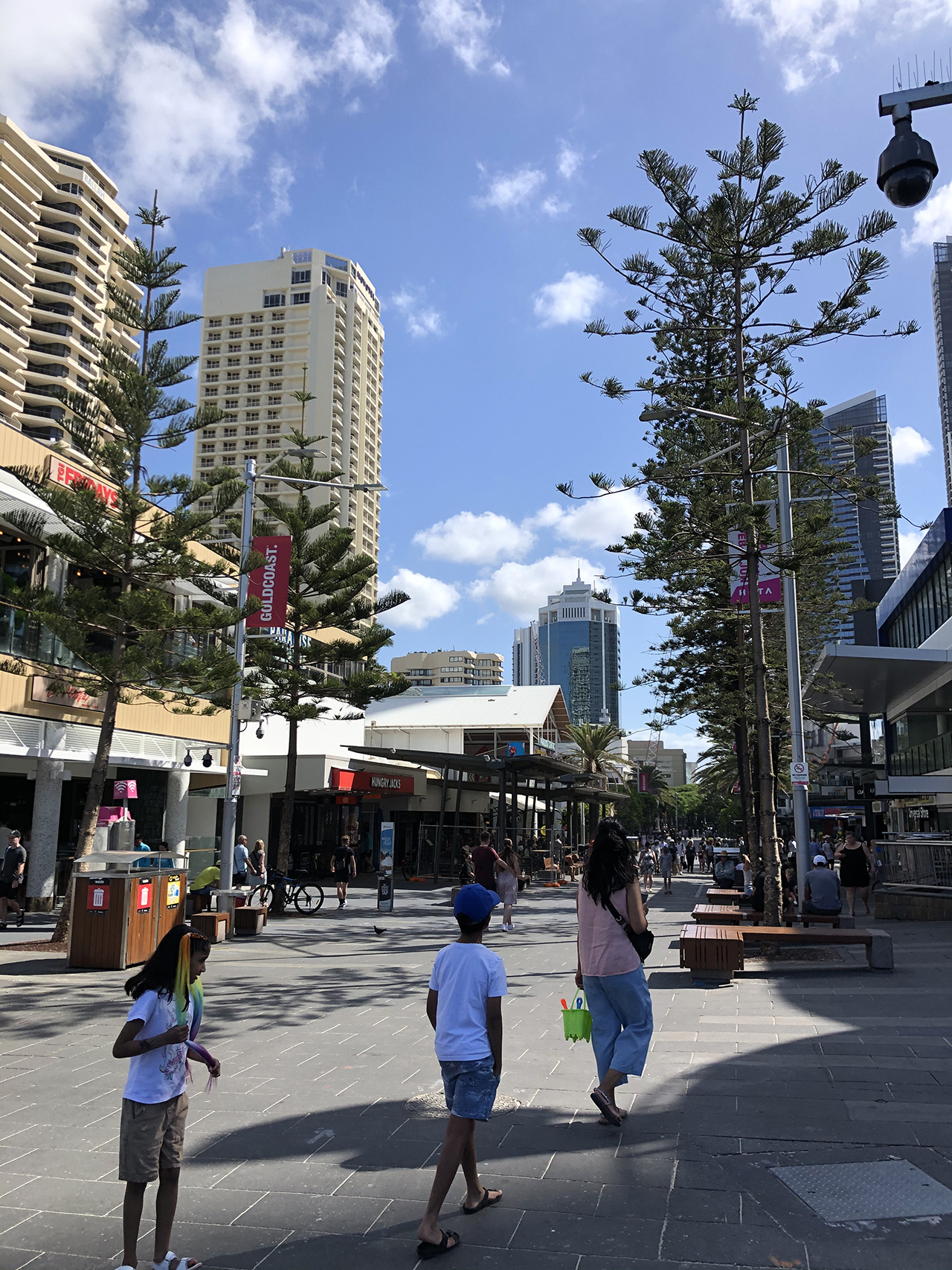 서퍼스 파라다이스