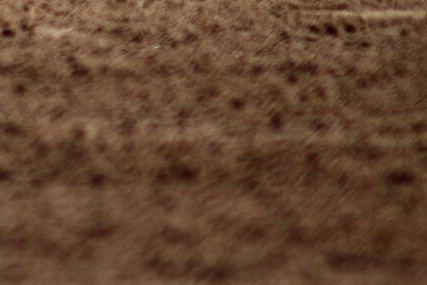 2025 KBO 프로야구 시범경기 일정 및 티켓 예매 방법 총정리