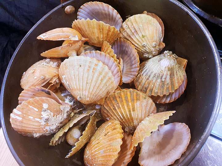 생방송오늘저녁 삼겹살 주먹고기 항정살 횟집인가 고깃집인가 1+5 제철 대방어회 홍가리비 조개찜 부천 맛집 추천