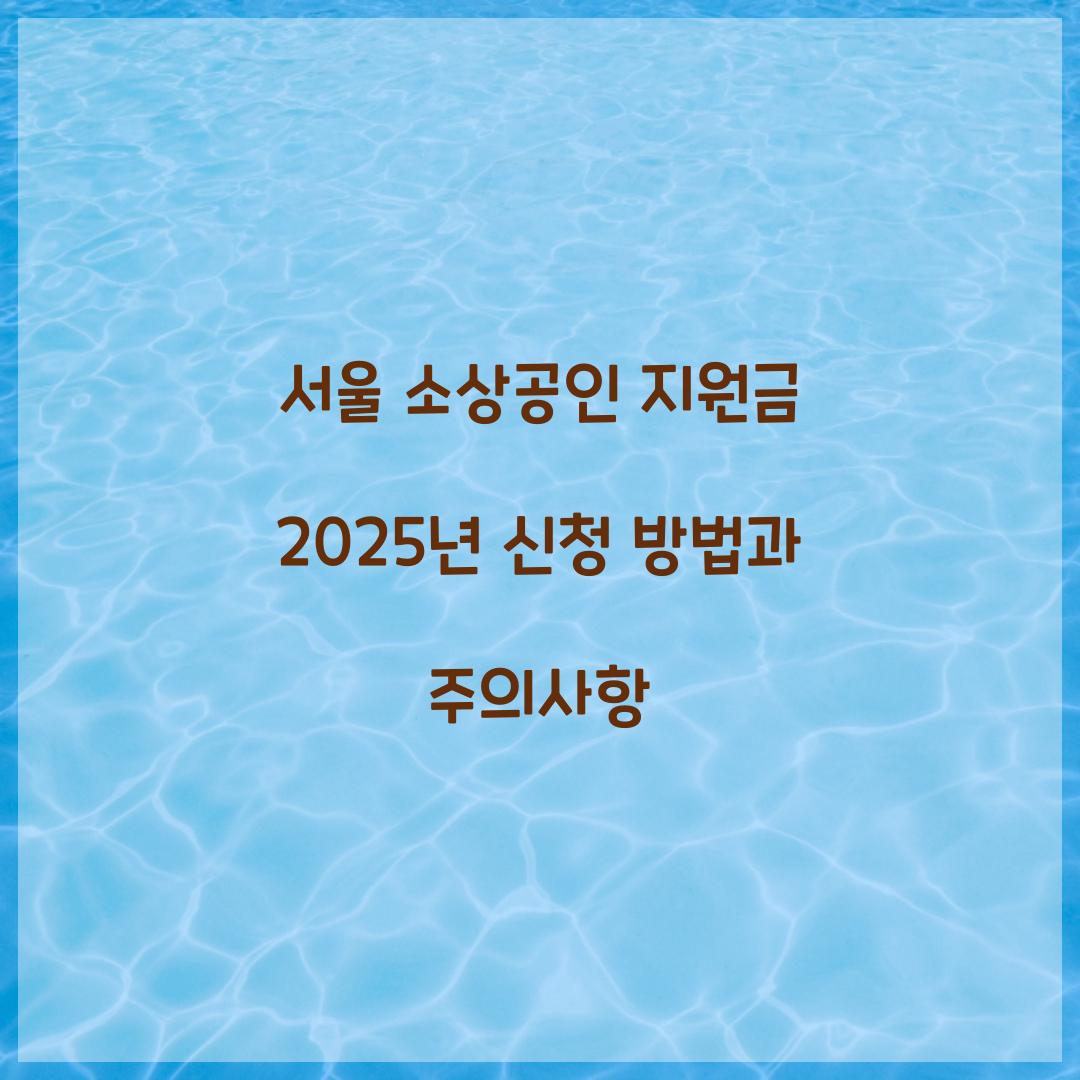 서울 소상공인 지원금