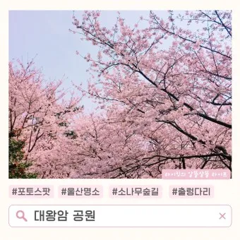 벚꽃 명소 추천 축제 유명한곳_19