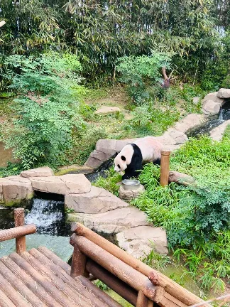 에버랜드 푸바오 예약 시간 관람 꿀팁