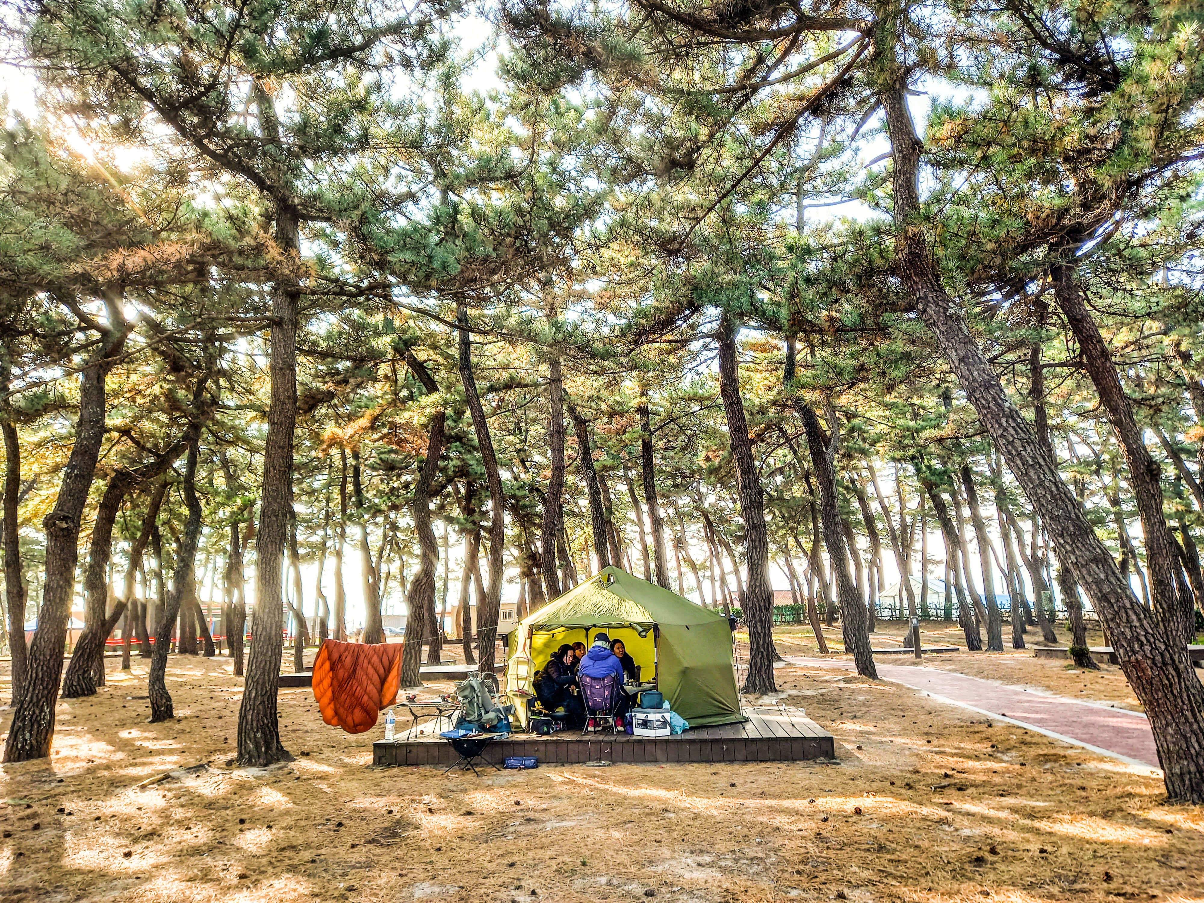 강릉연곡해변캠핑장