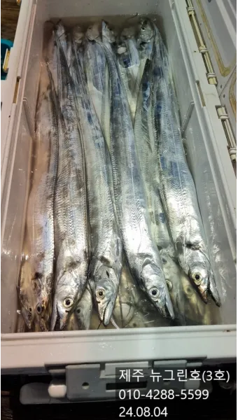 제주 갈치 낚시 물때 포인트_11