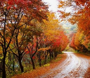 무르익어가는 가을 풍경