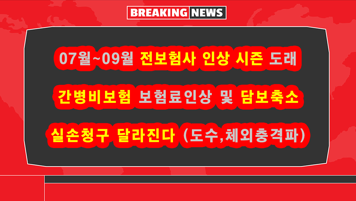 7월 보험맵 뉴스