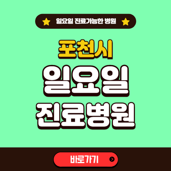 포천시 일요일 진료 가능한 병원 ❘ 주말 문여는 곳 총정리 (소아과, 내과, 안과, 치과, 피부과, 정형외과, 산부인과)