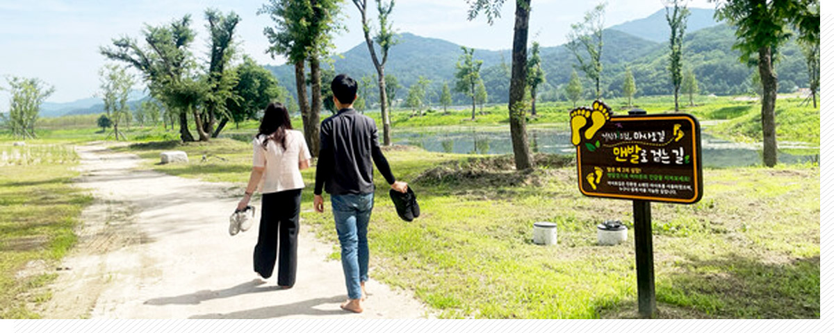 [4월~5월 여행지]만개한 꽃잔디와 봄날의 감동, 거창창포원에서 만난 힐링의 순간