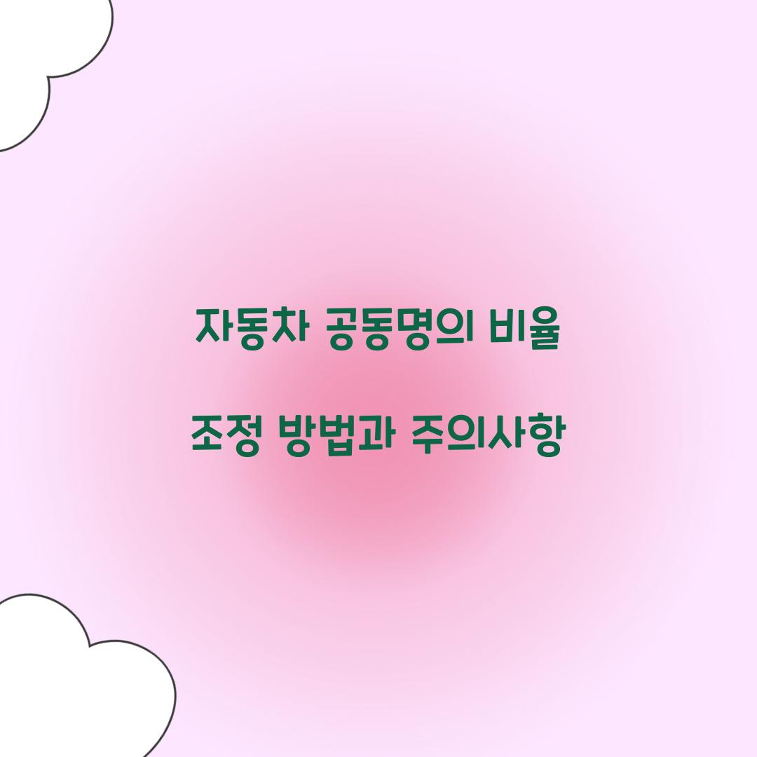 자동차 공동명의 비율