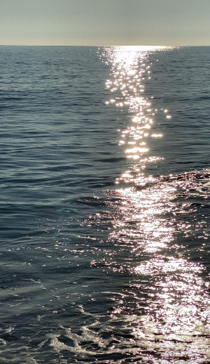 스마트폰 바다 배경화면 잠금화면 무료 다운로드