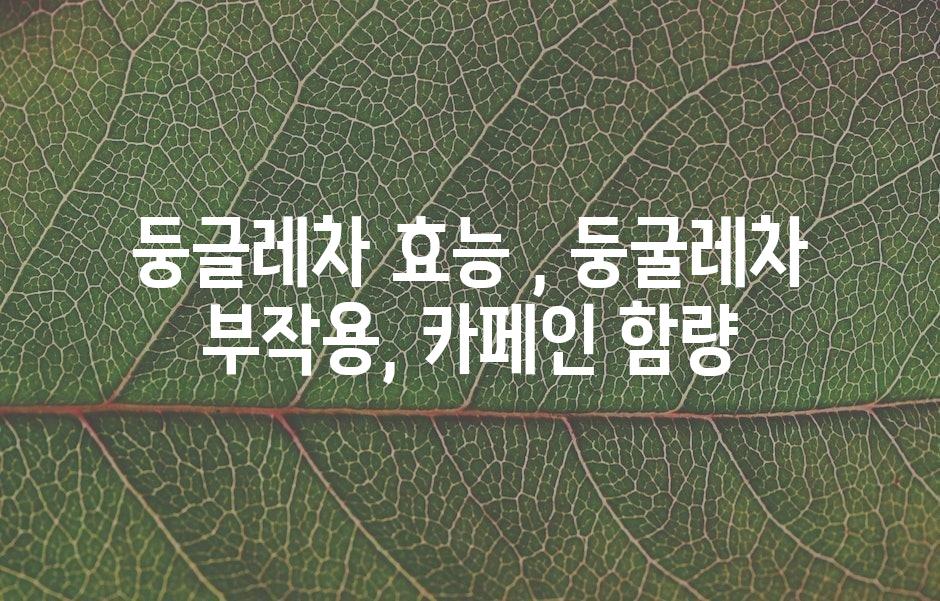 샘플 (43)