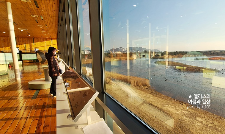 서부산 가볼만한곳 BEST 08 송도 해상케이블카 장림포구 감천문화마을 포함 데이트 가족여행 코스