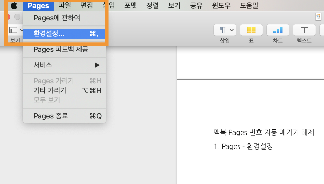 Pages 자동 번호 해제하기