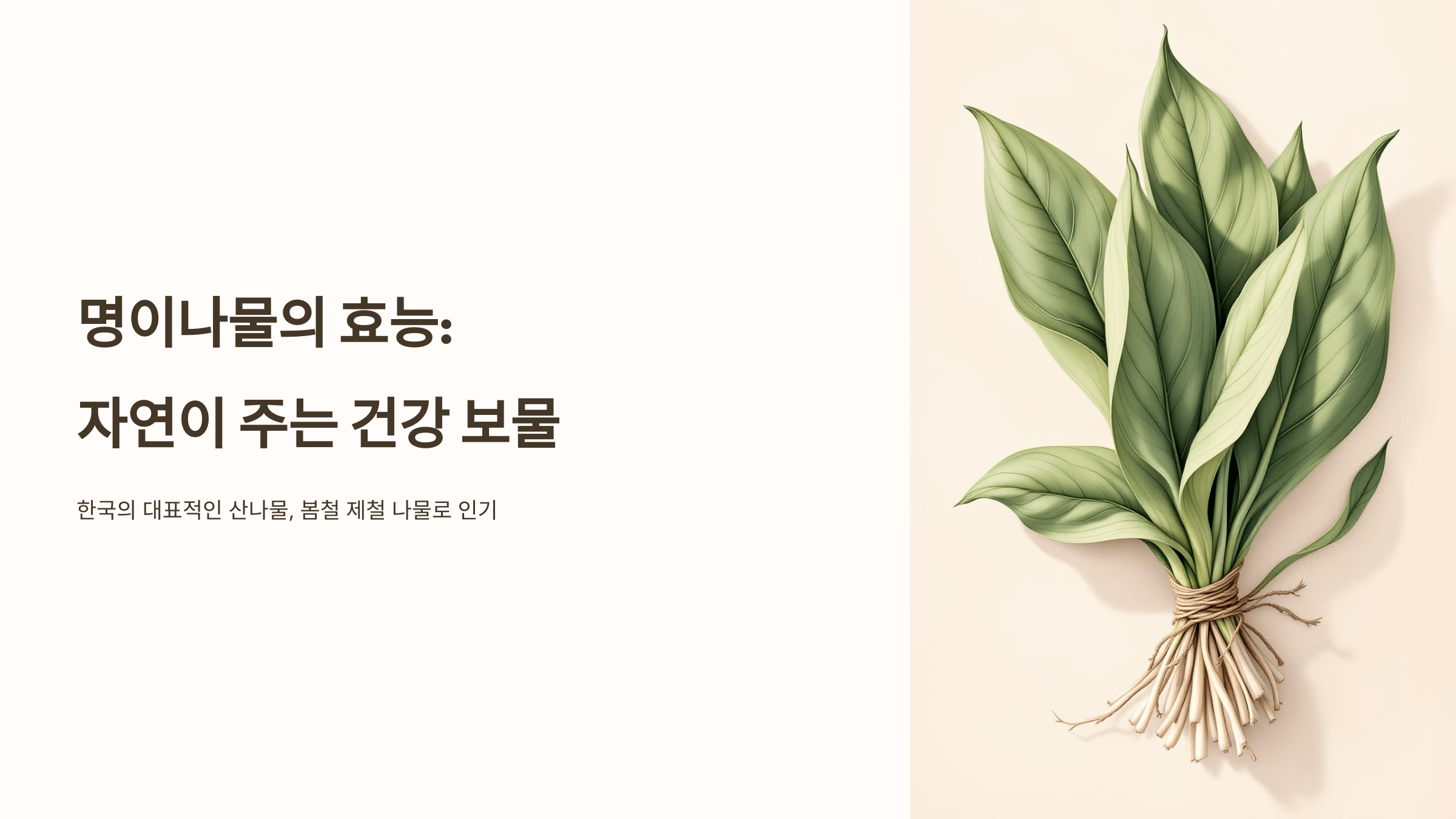 명이나물 사진입니다.