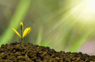 희망통장 두배사업