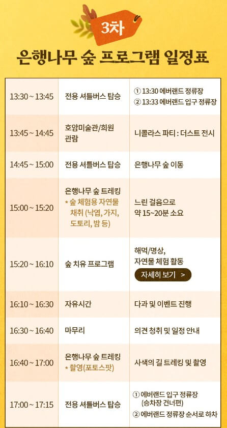 에버랜드 은행나무숲 예약,정보,일정