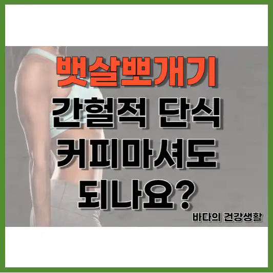 간헐적단식 커피 뱃살