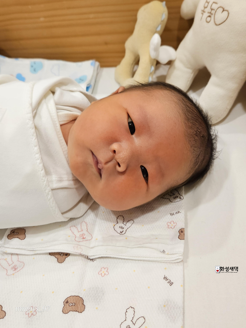 세인트마리-산부인과