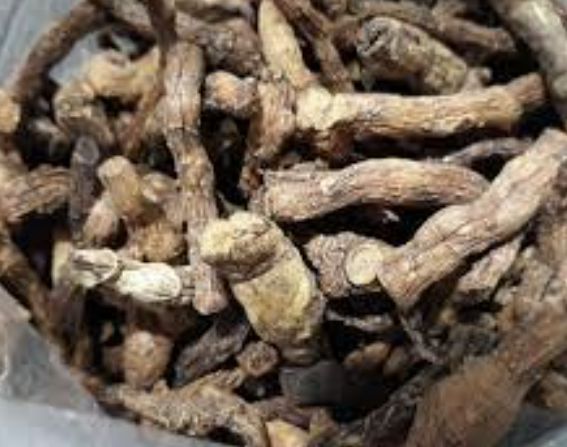 둥글레차 효과 물대신 효능과 부작용 만드는방법 총정리