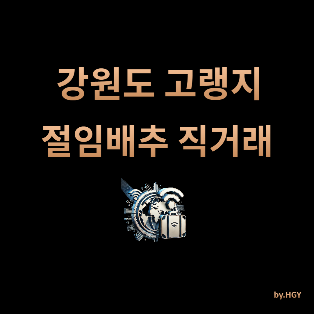 강원도 고랭지 절임배추 직거래