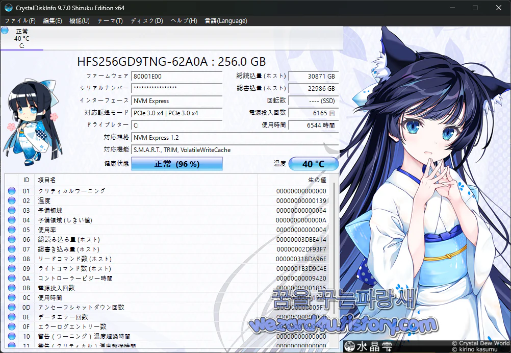 CrystalDiskInfo 로 펌웨어 정보 확인