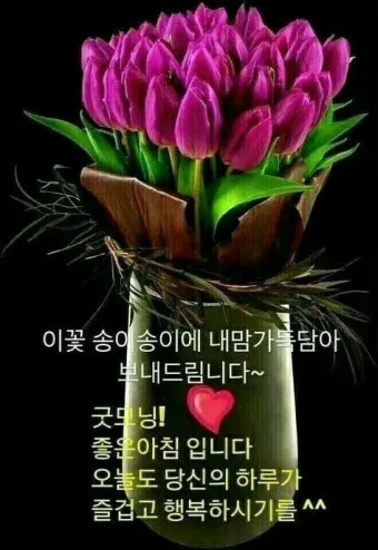 아침 인사말 이미지 모음 밝고 따뜻한 하루 인사 문구 정리_10