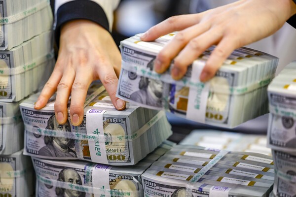 미국 달러 이미지