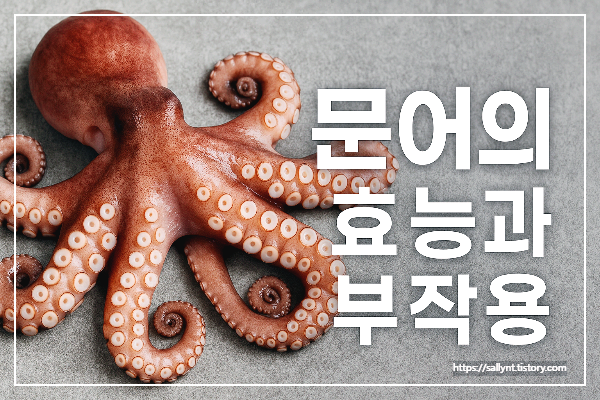 문어의 효능과 부작용