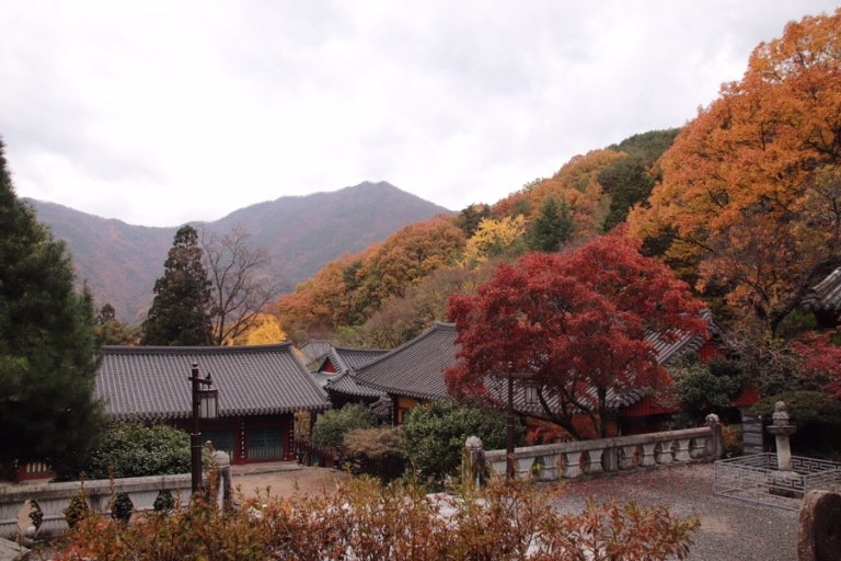 경남 단풍명소 TOP5 ❘ 가을 감성 가득한 산책 · 여행 · 데이트 추천 코스 관련 사진