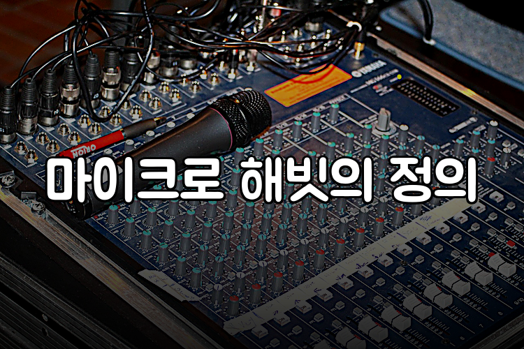 마이크로 해빗의 정의