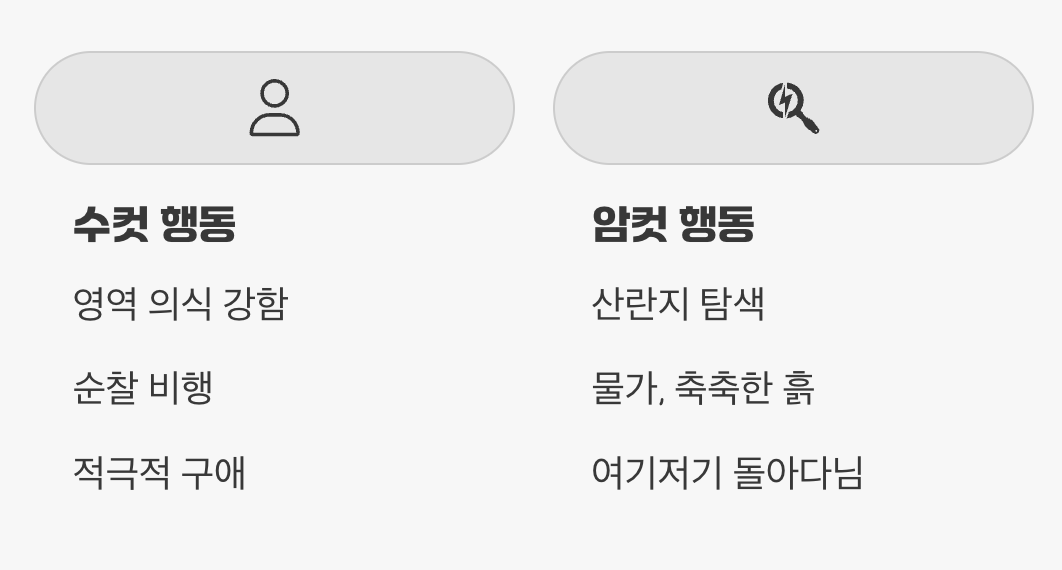 꿀팁 3. 행동에도 차이가?