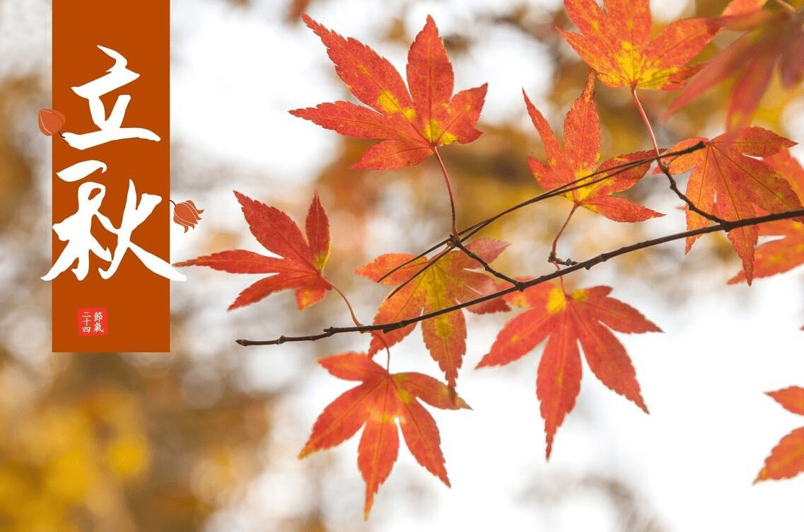 계절의 변화를 세분화한 24 절기 중 '입추' 이해하기