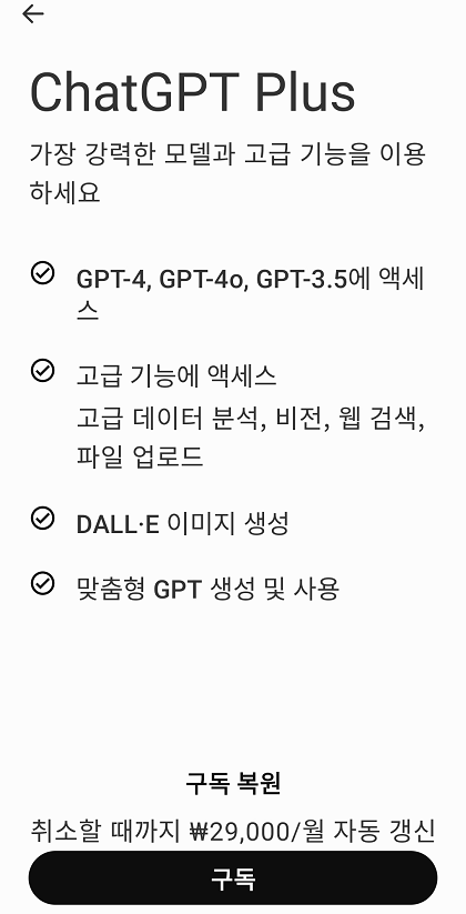 ChatGPT Plus 월 29000원