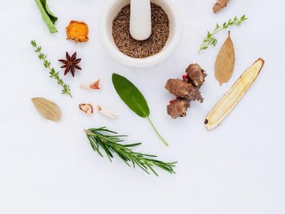 한식조리사 자격증