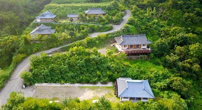 2025 봄꽃 축제 취소 연기 지역