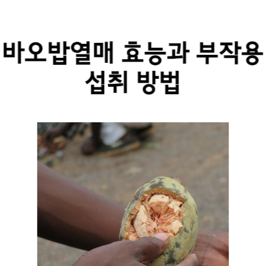 바오밥열매 효능과 부작용 및 섭취 방법